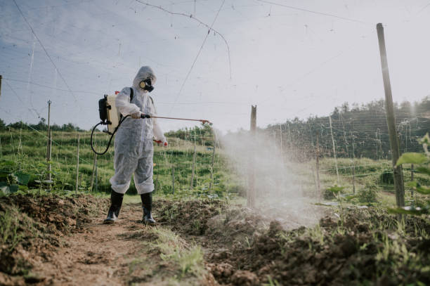 Best Ant Control Services  in Millbourne, PA