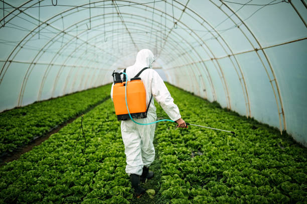 Best Best Pest Control Companies  in Millbourne, PA