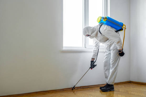 Pest Control for Restaurants in Millbourne, PA